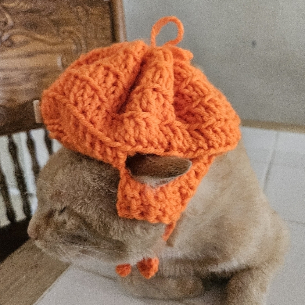 Handmade Halloween Crochet Pumpkin Hat for Cats or Small Dogs – Fall Pet Costume - Picture 13 of 16